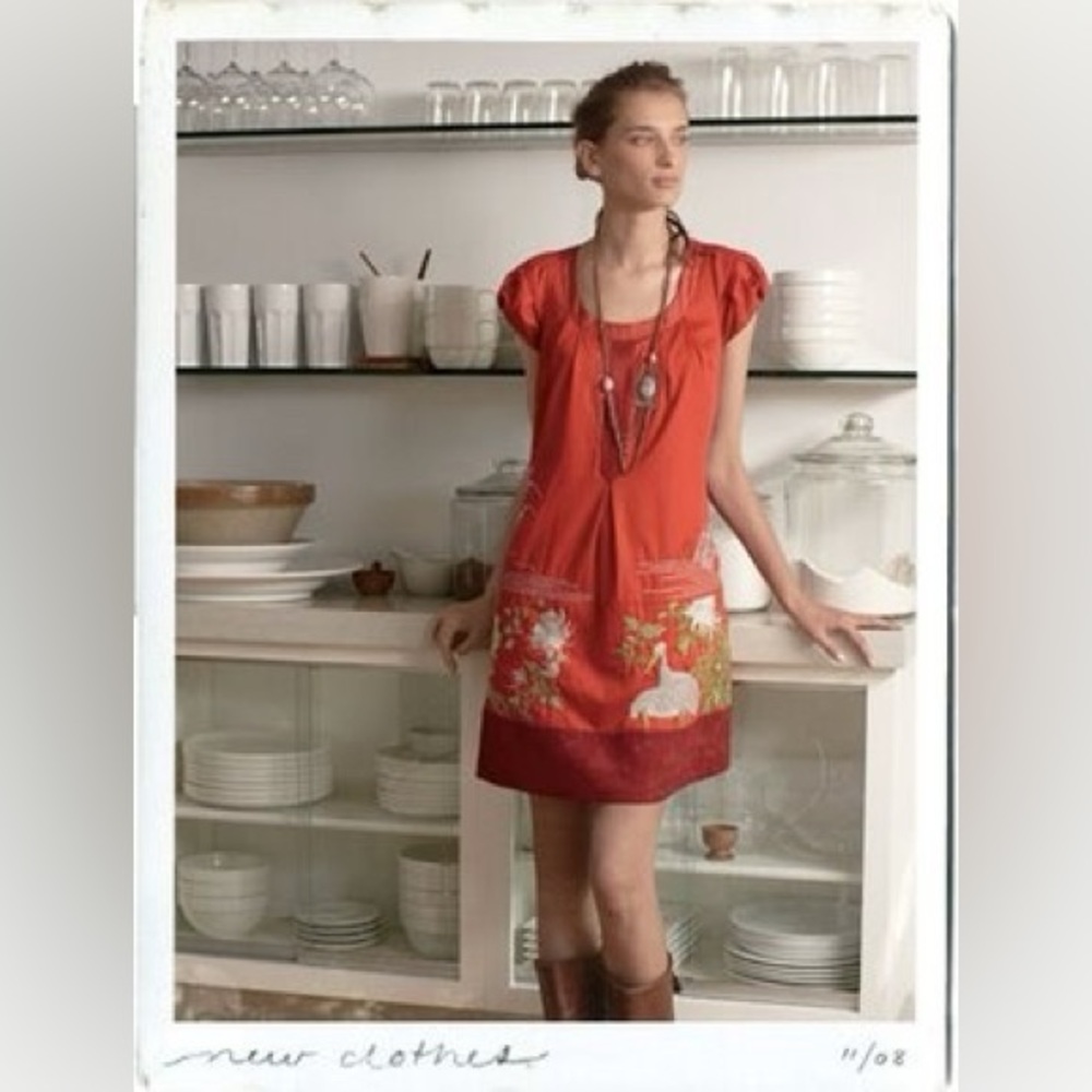 Vintage Anthro Fire’s Path Shift Dress